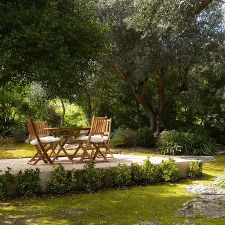 Arrabida Getaway - Jacuzzi & Mountain Views Σετούμπαλ